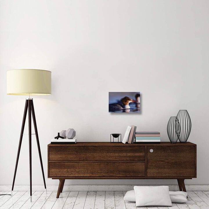 Common Merganser female portrait, North America-Canvas Art-18x12