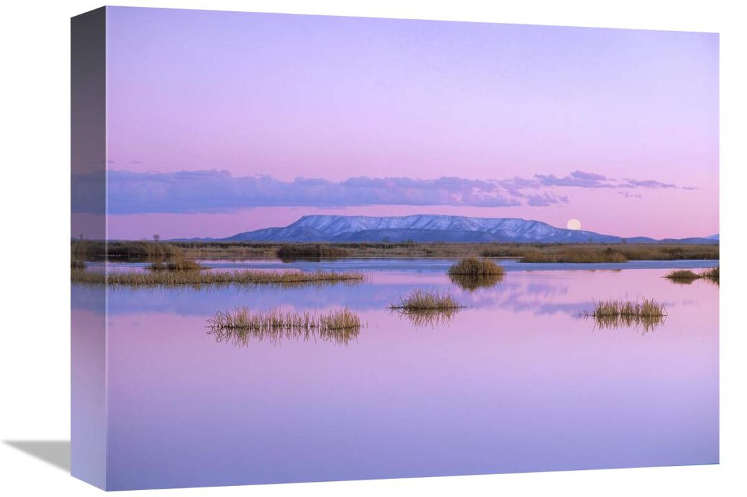 Full moon rising over Sangre de Cristo Mountain Range, Alamosa National Wildlife Refuge, Colorado-Canvas Art-16x12