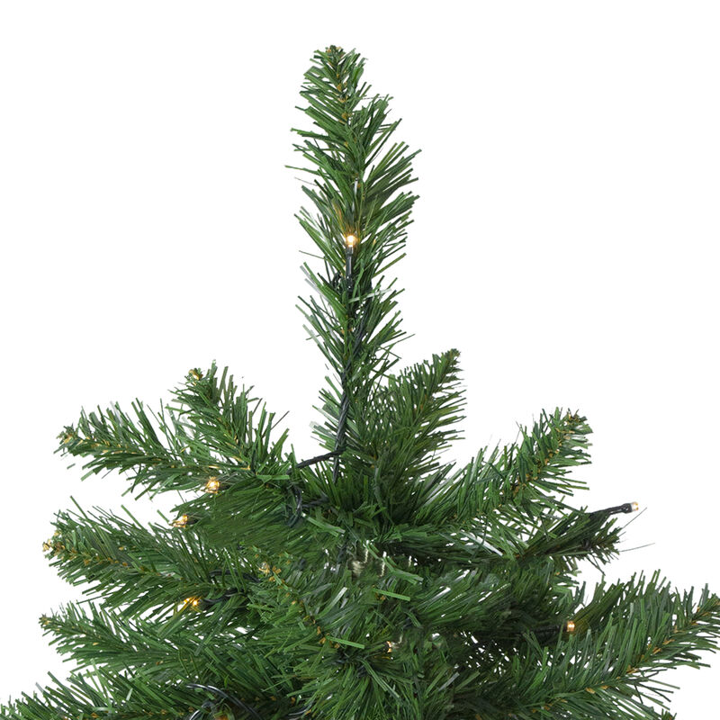 7.5' Pre-Lit Full Twin Lakes Fir Artificial Christmas Tree - Warm White LED Lights