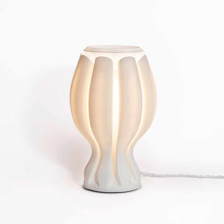 Flower Tropical Coastal Plant-Based PLA 3D Printed Dimmable LED Table Lamp