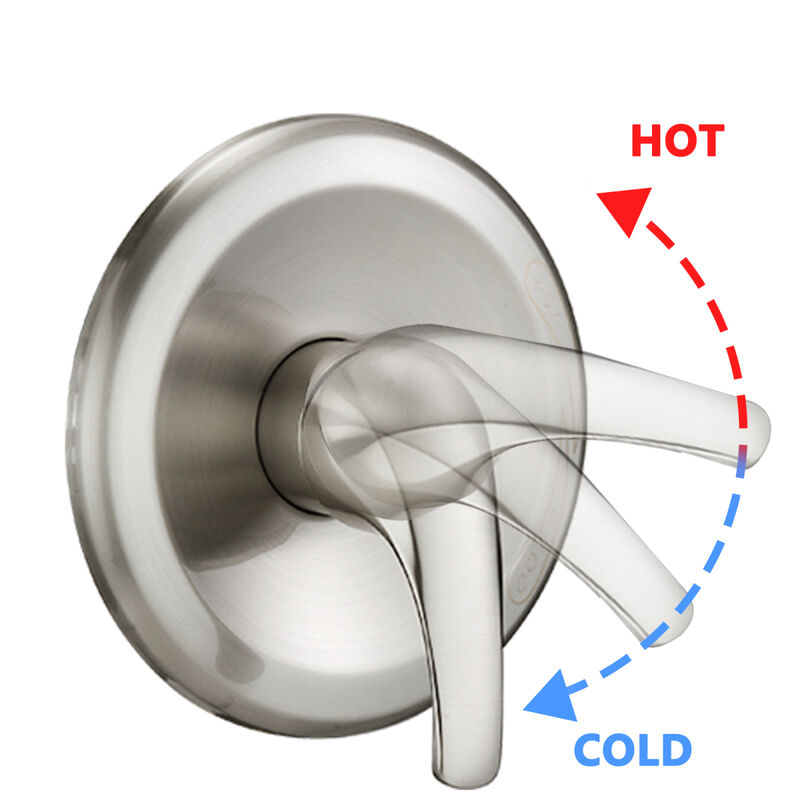 Stainless Steel Dual Shower Head Set