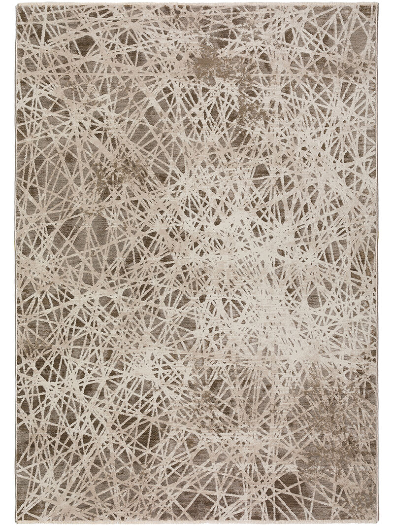 Denizi DZ4 Taupe 3'3" x 5'3" Rug