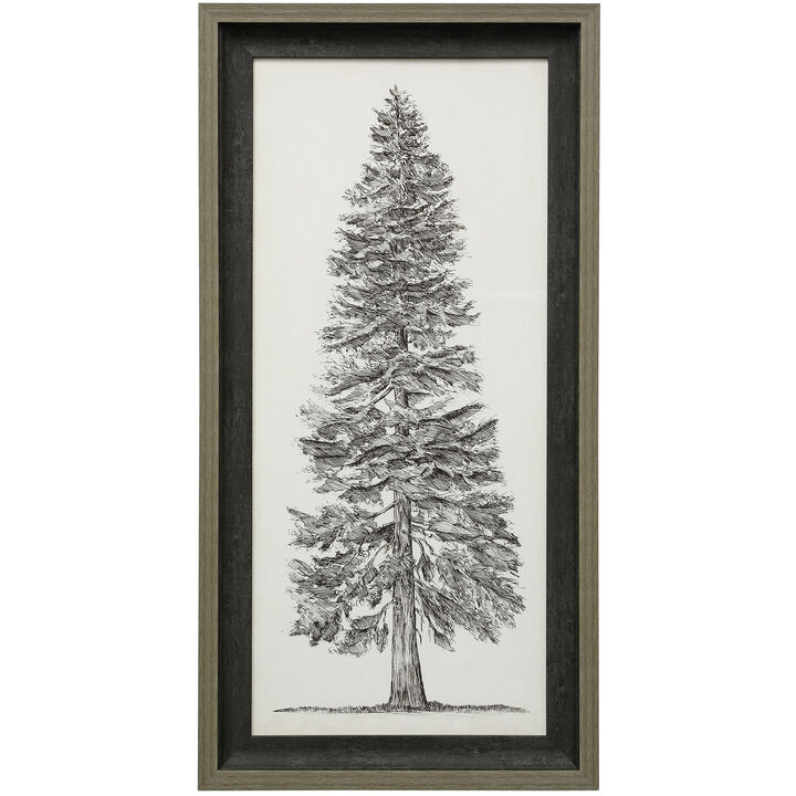 Pacific Northwest Tree I