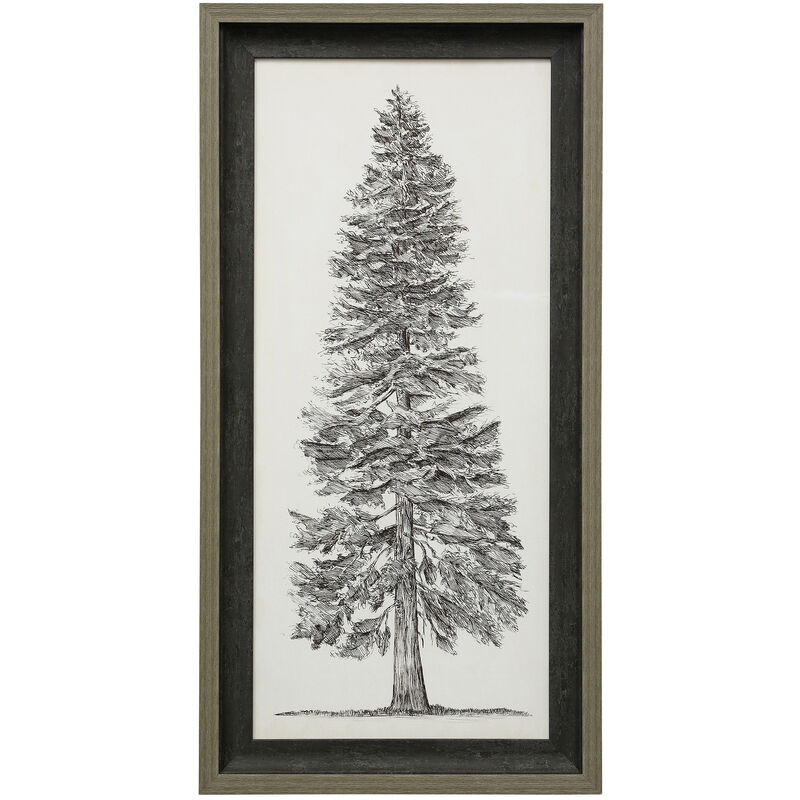 Pacific Northwest Tree I