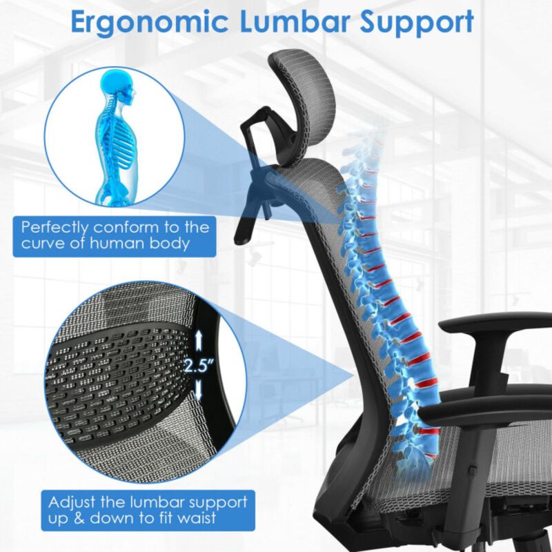 Hivvago Height Adjustable Ergonomic High Back Mesh Office Chair with Hange