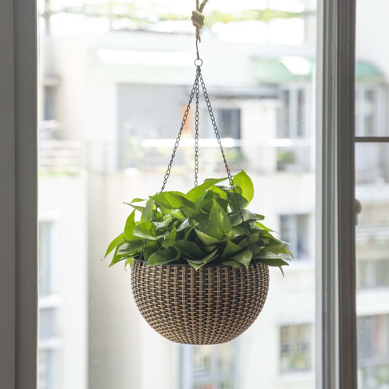 10" Self Watering Bronze Hanging Basket Flower Planter