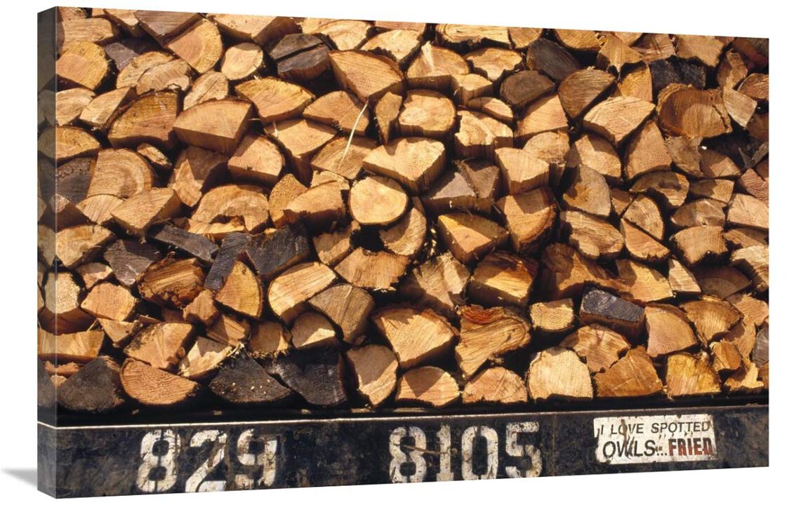 Firewood hauled from clearcut on truck bed with I Love Spotted Owls, Fried bumper sticker, Suislaw National Forest, Oregon-Canvas Art-36x24