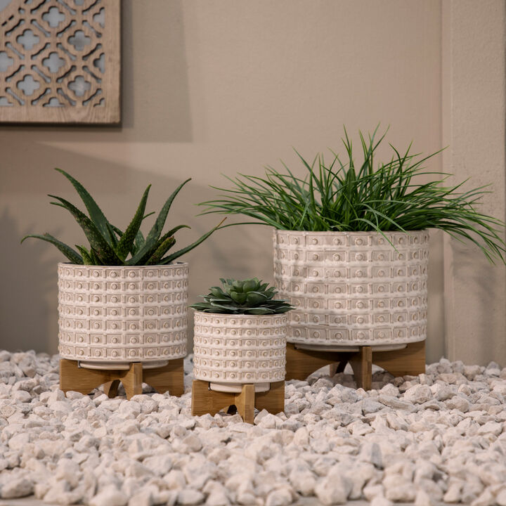 Ceramic 5" Dotted Planter with Wood Stand, Ivory
