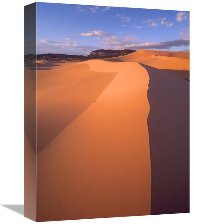 Wind ripples in sand dunes, Coral Pink Sand Dunes State Park, Utah-Canvas Art-12x16