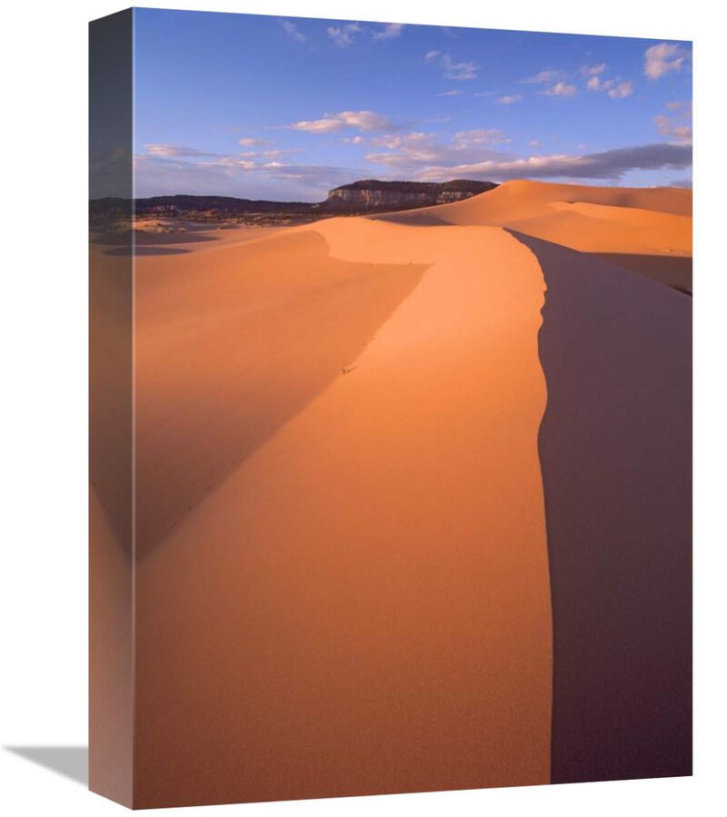 Wind ripples in sand dunes, Coral Pink Sand Dunes State Park, Utah-Canvas Art-12x16