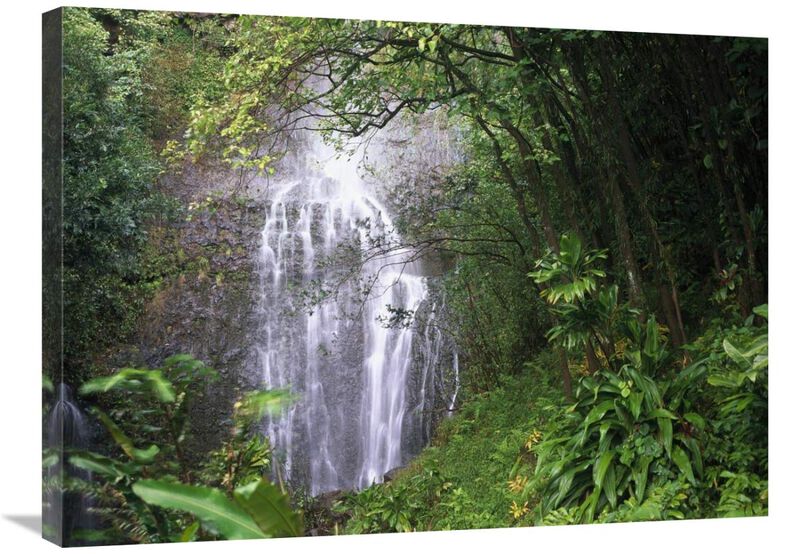 Waterfall along Hana coast, Maui, Hawaii-Canvas Art-32x24