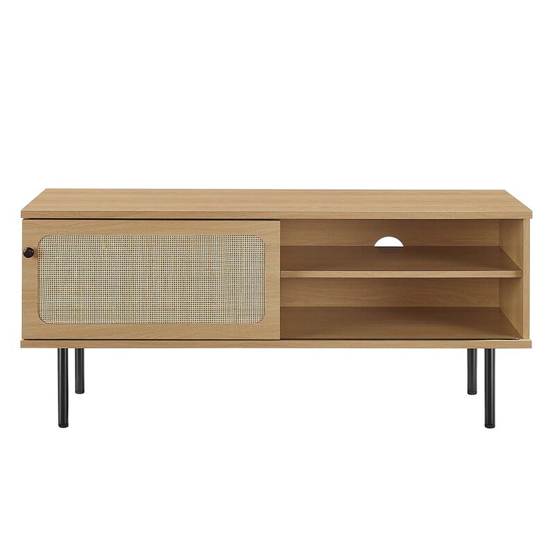 Cambria 47" TV Stand-Benzara