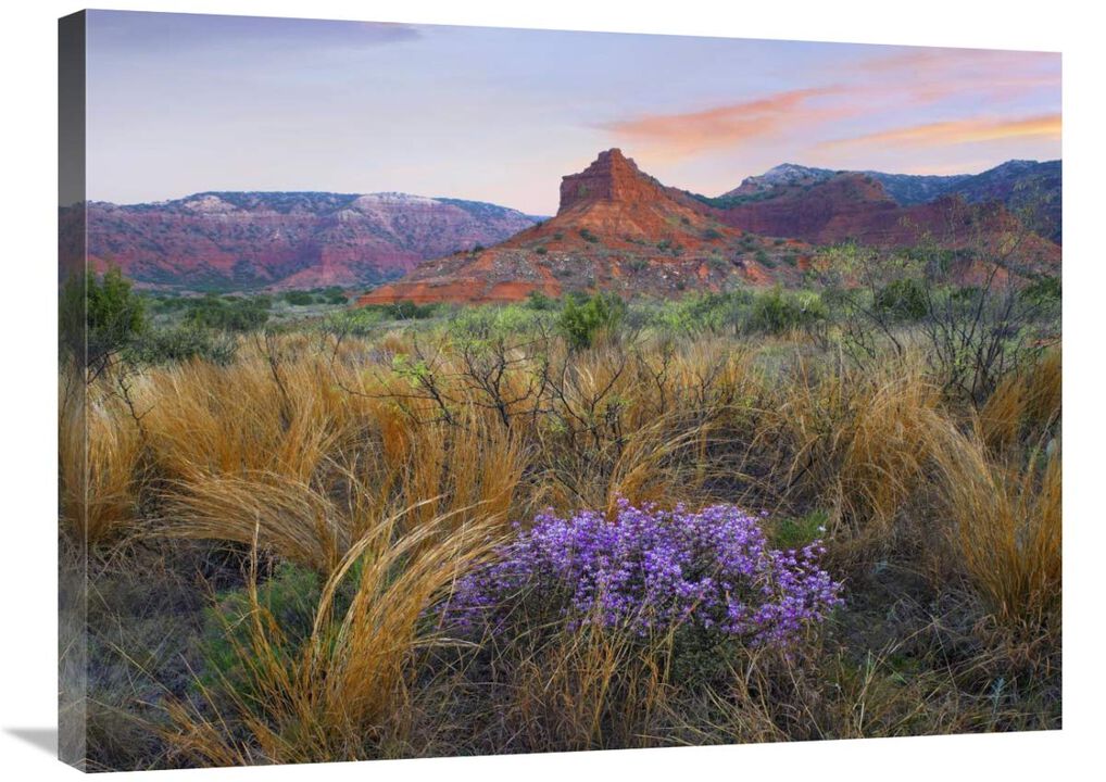 Caprock Canyons State Park, Texas-Canvas Art-32x24