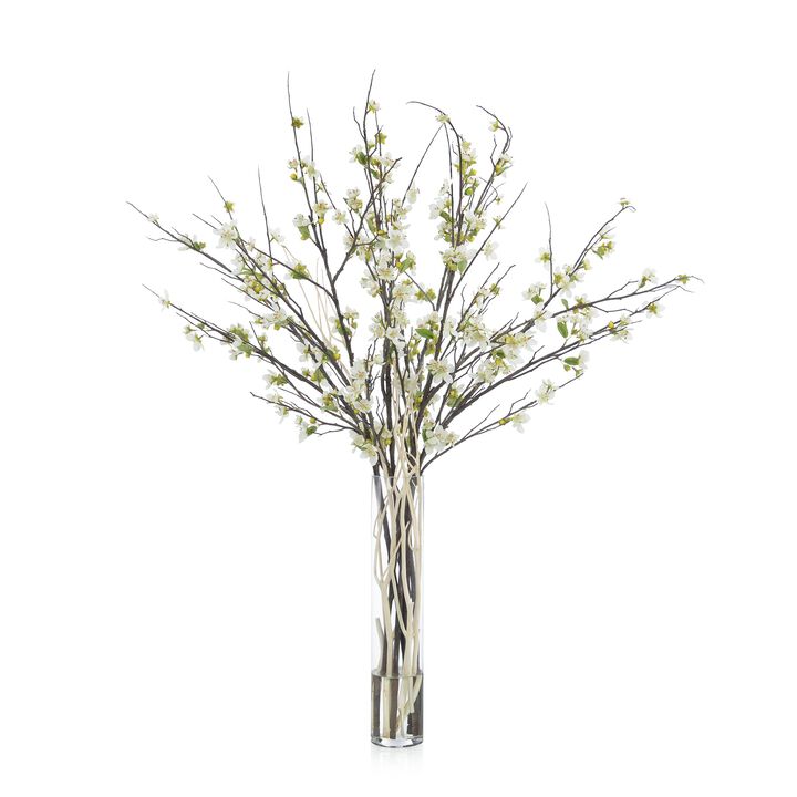 Apple Blossoms