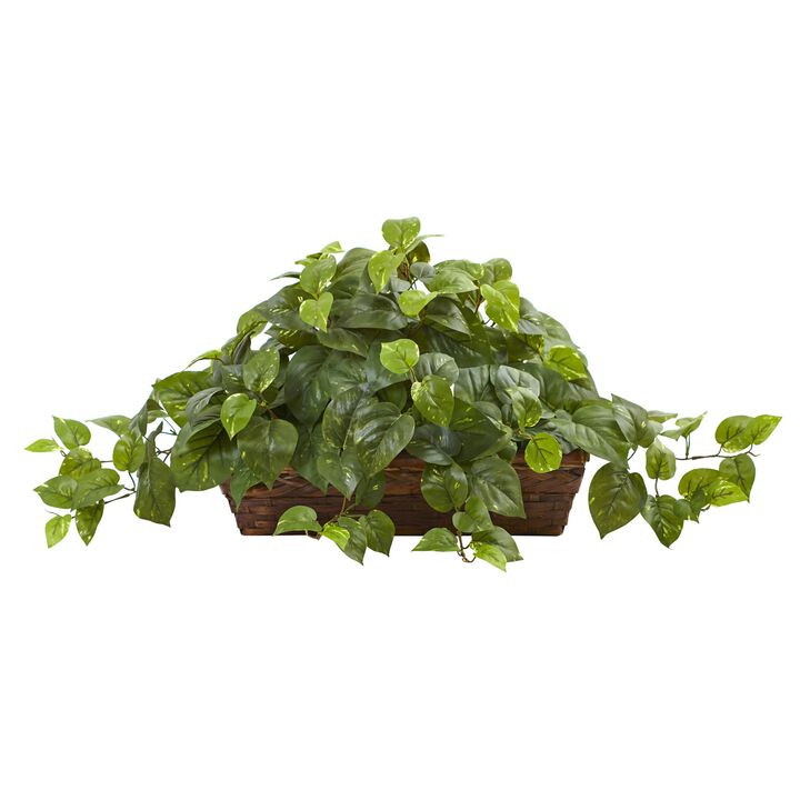 Hivvago Pothos w/Ledge Basket