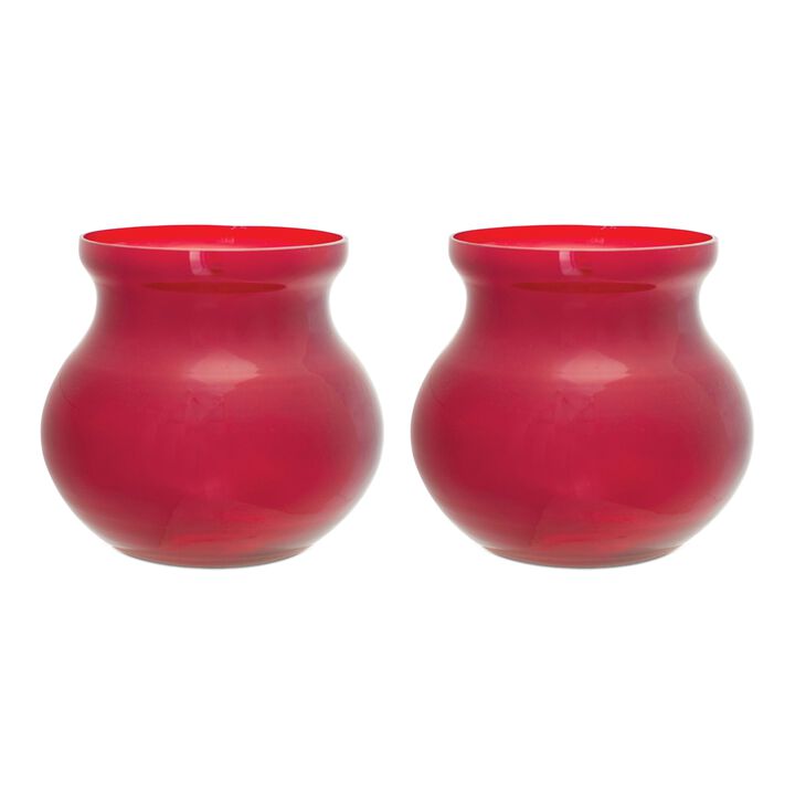 Set of 2 Decorative Vases – Stylish Ceramic or Glass Vases for Home, Office, or Centerpieces