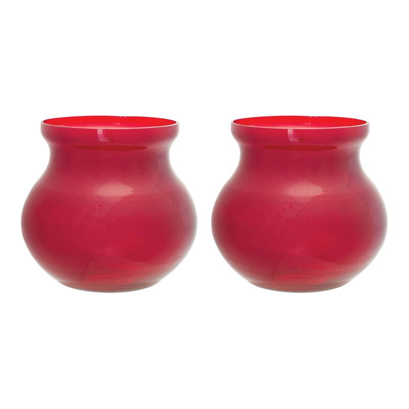 Set of 2 Decorative Vases – Stylish Ceramic or Glass Vases for Home, Office, or Centerpieces