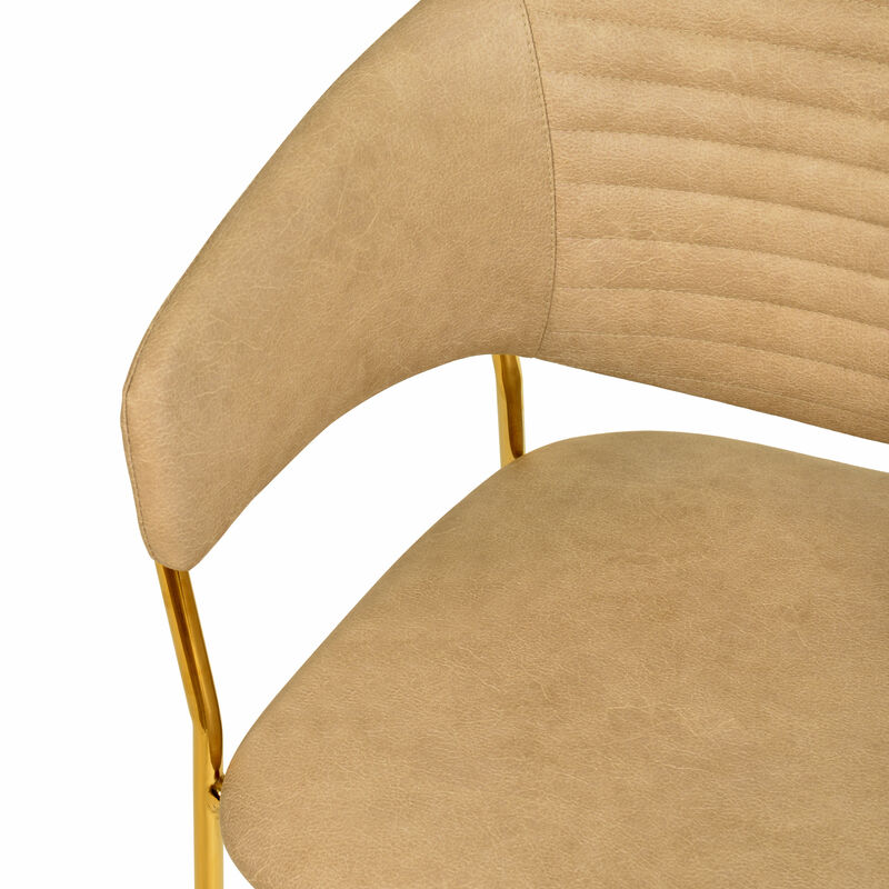 Bella Modern Dining Chair Upholstered in Leather With Stainless Steel Base Set of 2
