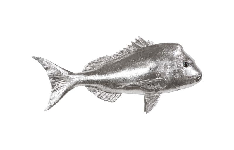 Australian Snapper Wall Sculpture