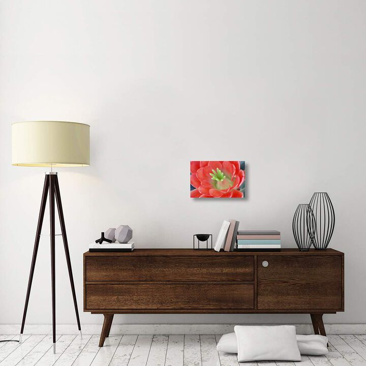 Claret Cup Cactus flower, Arizona-Canvas Art-18x12
