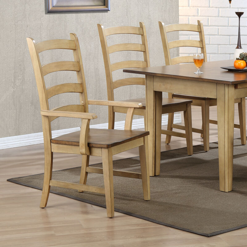 Brook Arm Chair (Set of 2)