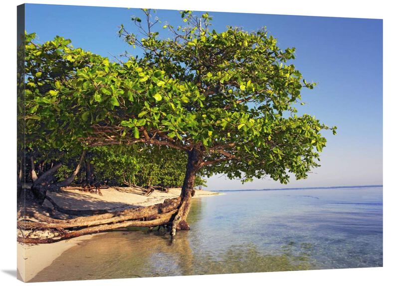 Roatan Island, Honduras-Canvas Art-40x30