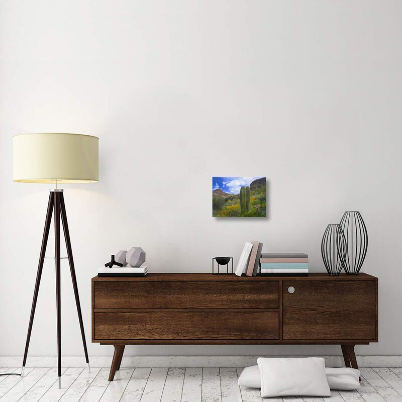 Saguaro amid flowering Lupine, Organ Pipe Cactus National Monument, Arizona-Canvas Art-16x12