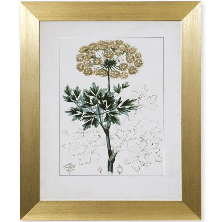 Antique Turpin Botanical VI