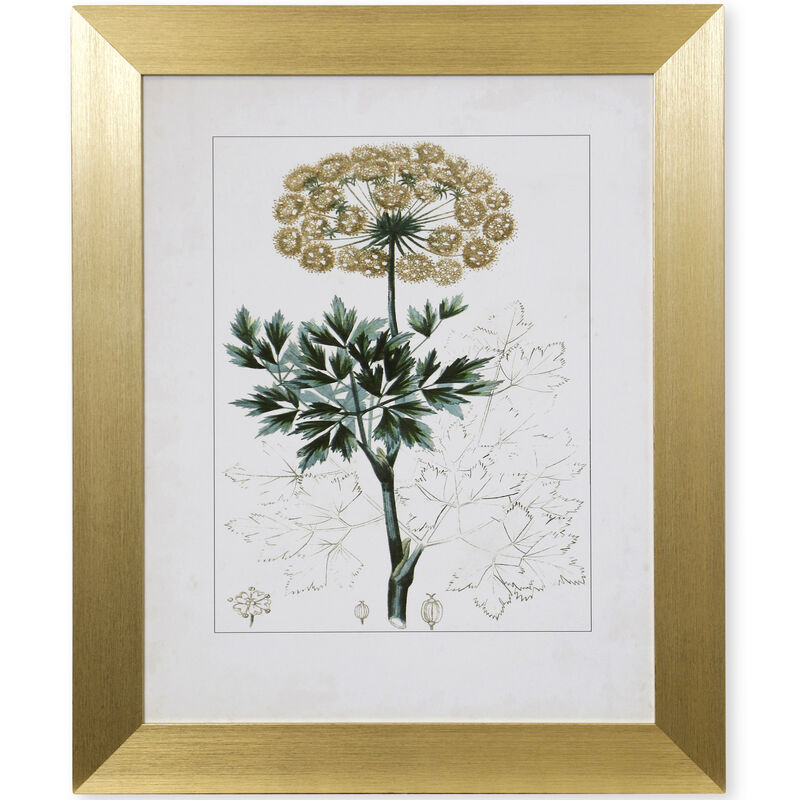 Antique Turpin Botanical VI