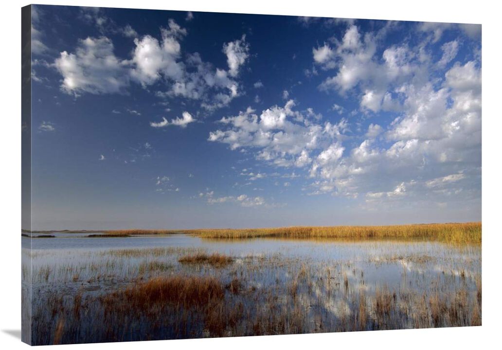 Marsh, Padre Island National Seashore, Texas-Canvas Art-40x30