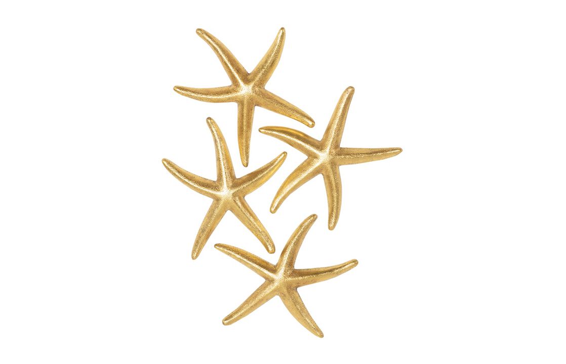 Starfish Small Set of 4