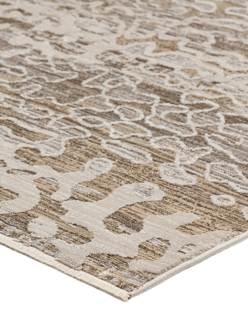 Denizi DZ6 Mocha 7'10" x 10' Rug