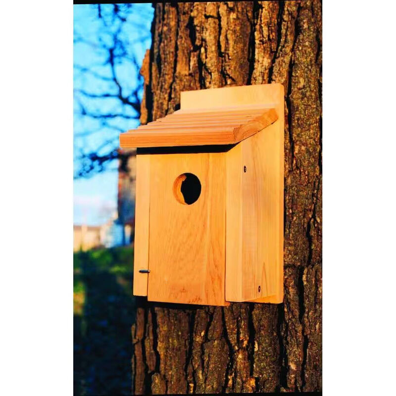 Cedar Wood Birdhouse – Perfect for Eastern, Western & Mountain Bluebirds
