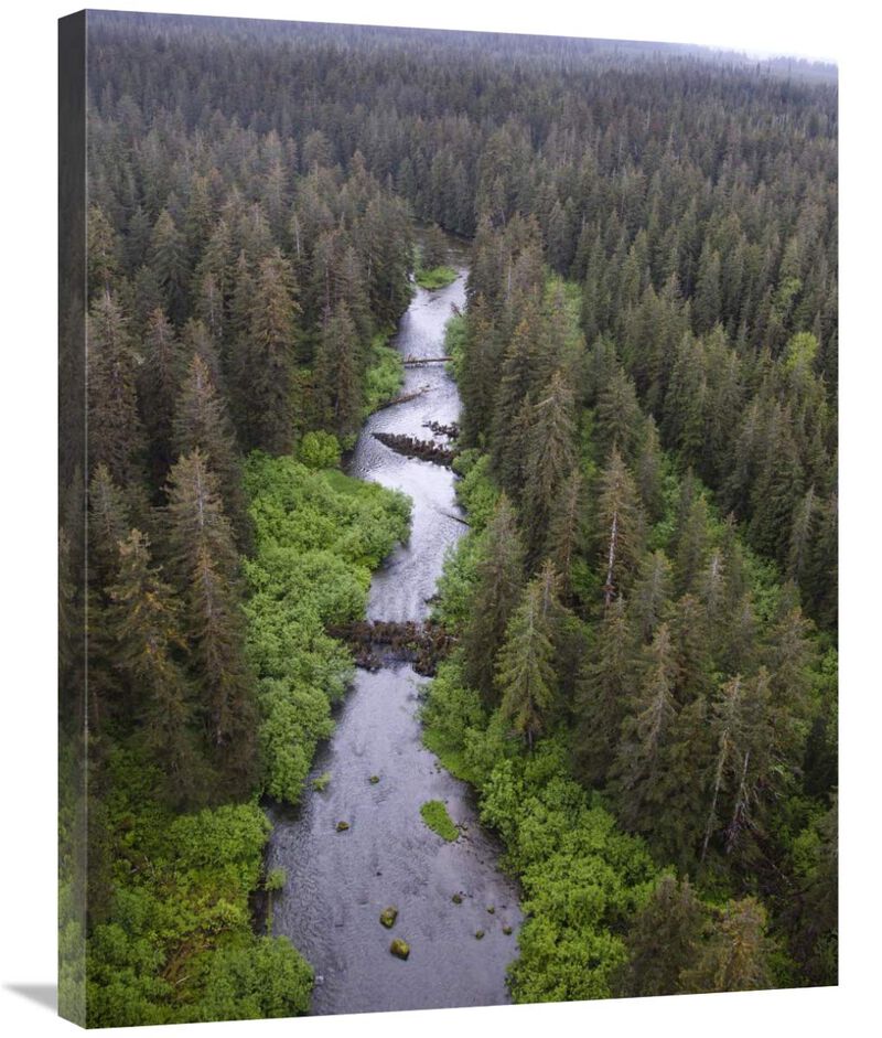 Stream and boreal forest, Tongass National Forest, Yakutat, Alaska-Canvas Art-24x32