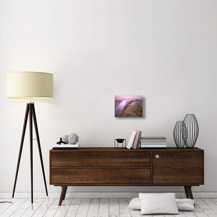 Hottentot Fig growing in beach sand, Morro Strand State Beach, California-Canvas Art-16x12