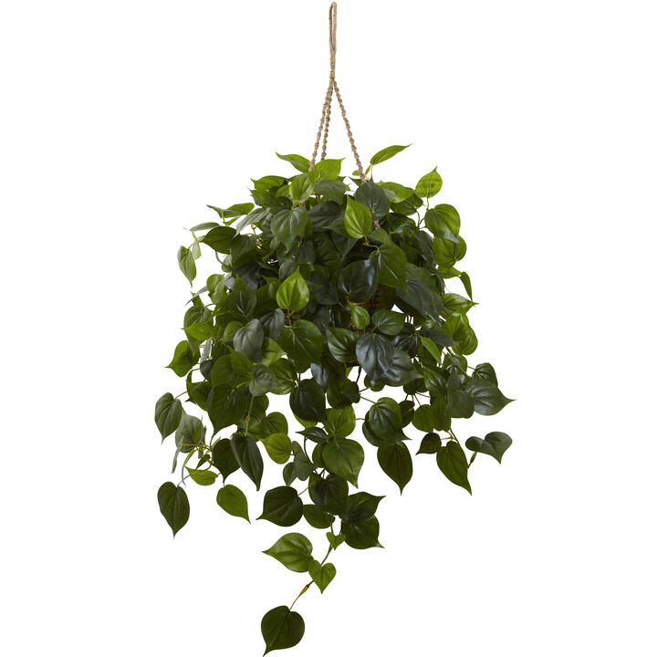 Hivvago Philodendron Hanging Basket UV Resistant (Indoor/Outdoor)