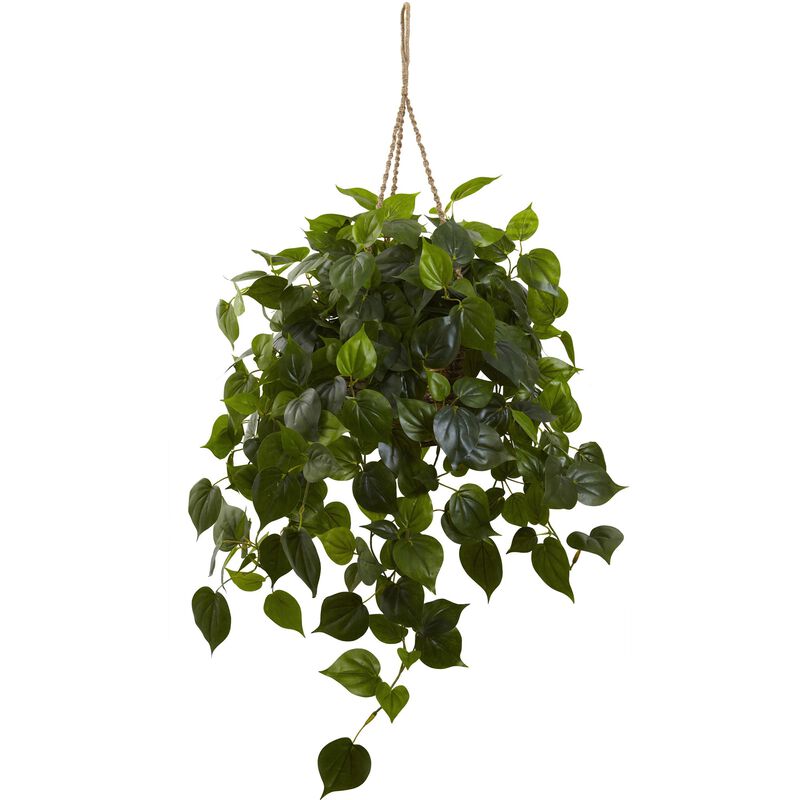 Hivvago Philodendron Hanging Basket UV Resistant (Indoor/Outdoor)