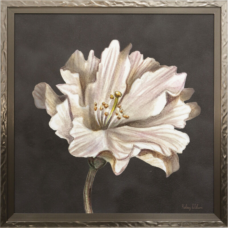 Cream Willow Blossom II Framed Print