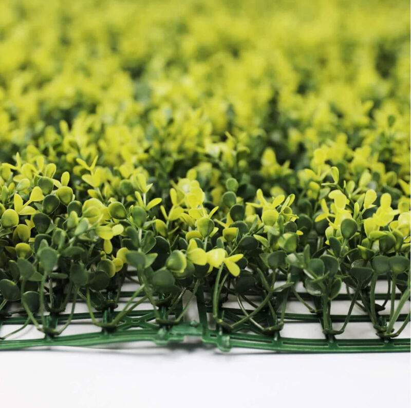 Yellow English Artificial Boxwood Wall 40" x 40" 11SQ FT Commercial Grade UV Resistant