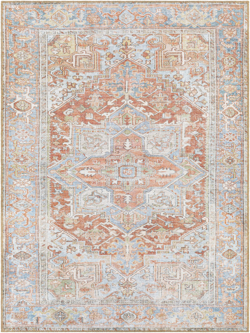Alanya ALY-2305 8'10' x 12' Brown Rug
