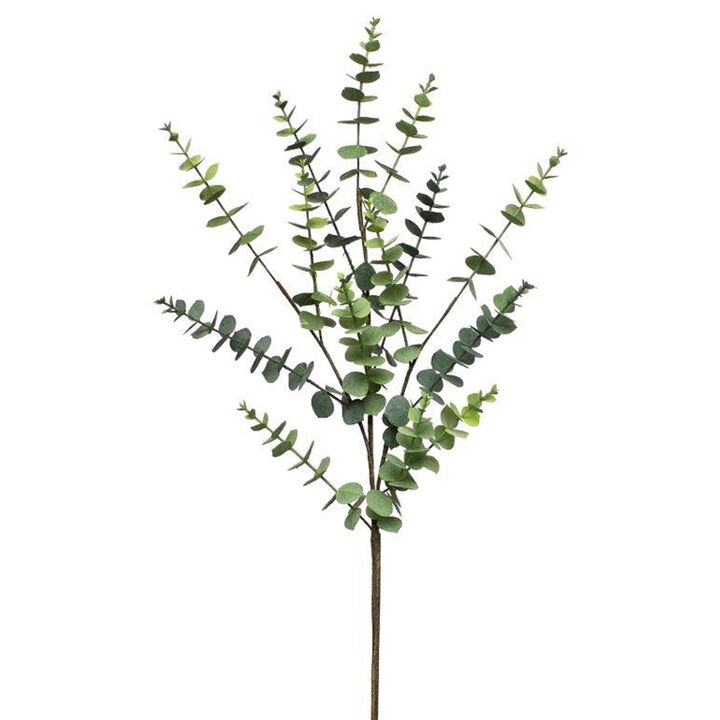 Set of 4 Eucalyptus Leaf Foliage Sprays for Floral Arrangements and Home Décor