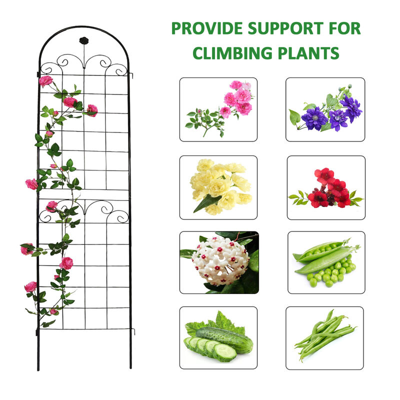 Streamdale Rustproof Rose Trellis for Climbing Plants 86.7"x19.7"