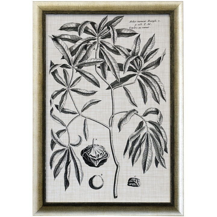 Black & Oatmeal Botanical V