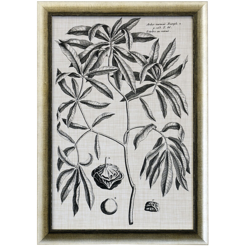 Black & Oatmeal Botanical V