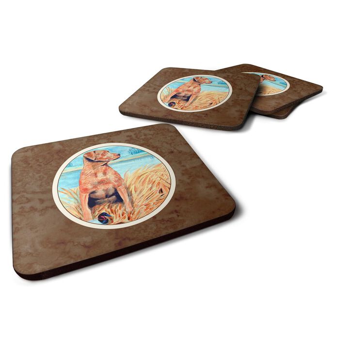 Caroline's Treasures 7112FC Chesapeake Bay Retriever Foam Coasters (Set of 4), 3.5, Multicolor
