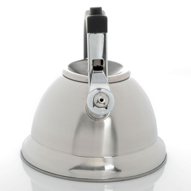 Mr Coffee Collinsbrook 2.4 Quart Stainless Steel Whistling Tea Kettle