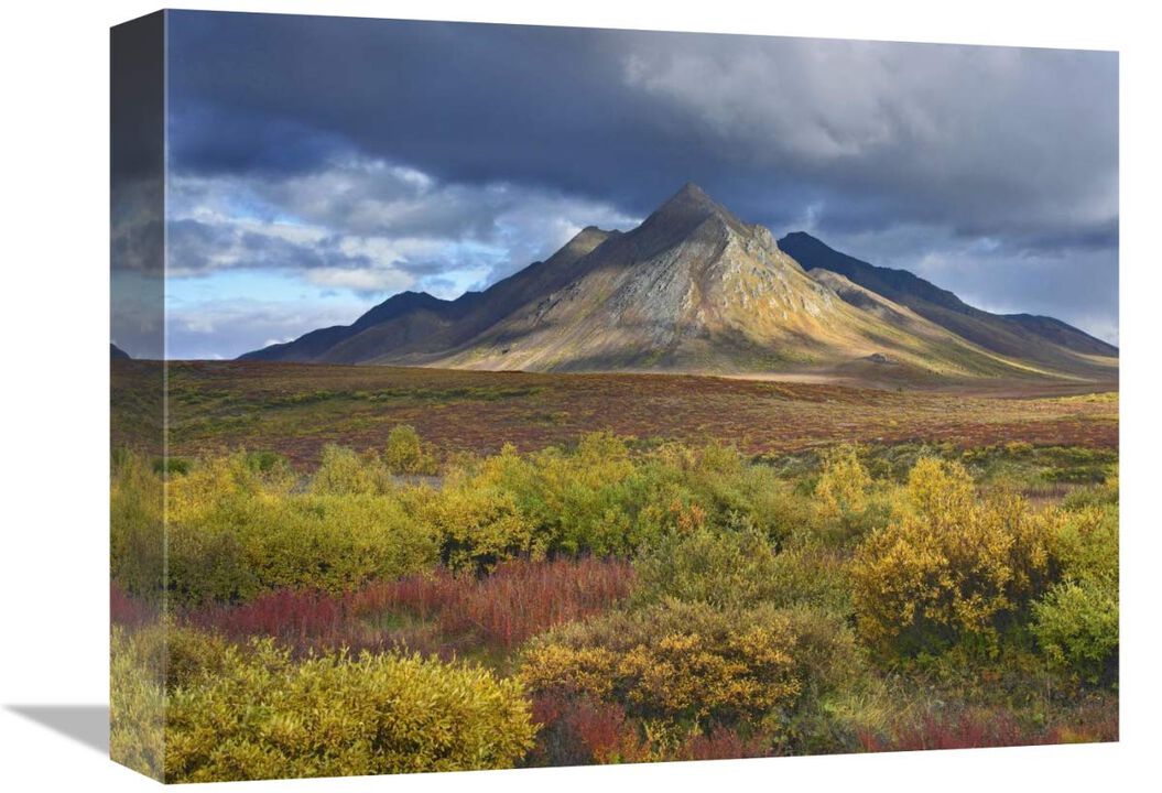 Ogilvie Mountains, Tombstone Territorial Park, Yukon, Canada-Canvas Art-16x12