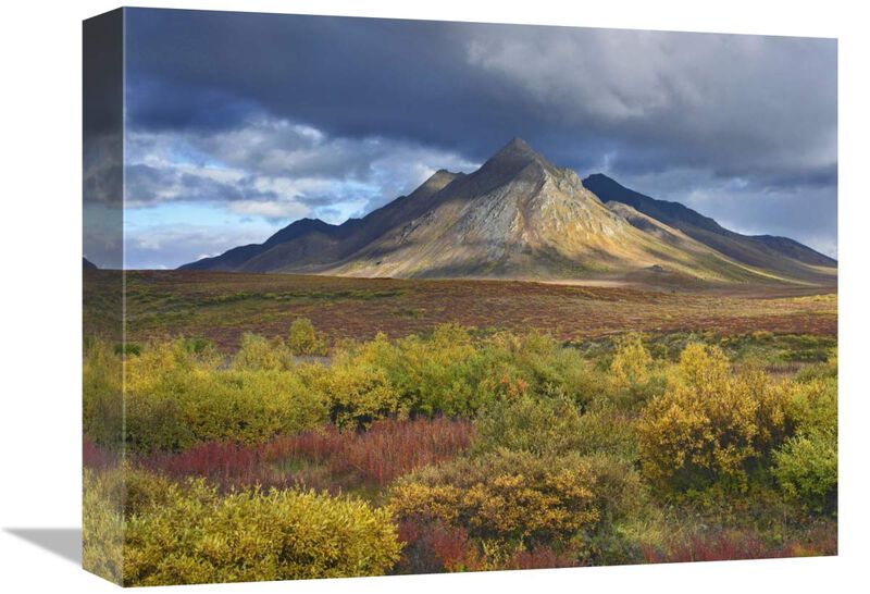 Ogilvie Mountains, Tombstone Territorial Park, Yukon, Canada-Canvas Art-16x12