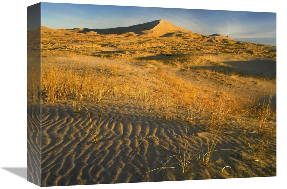Kelso Dunes and grasses, Mojave National Preserve, California-Canvas Art-16x12