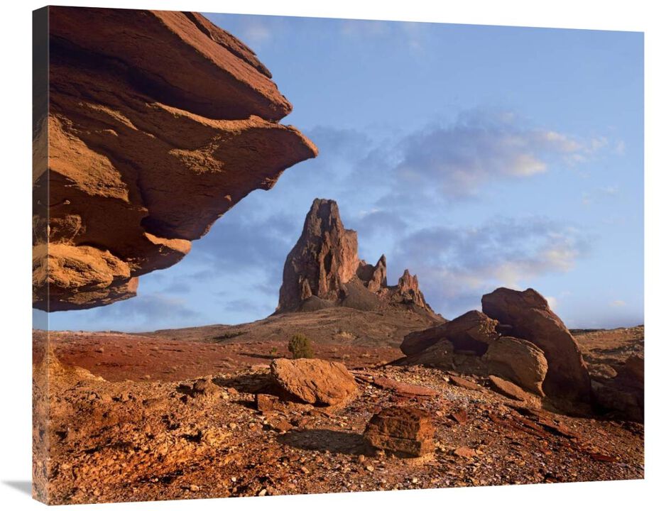 Rock formation, Monument Valley, Arizona-Canvas Art-35x28